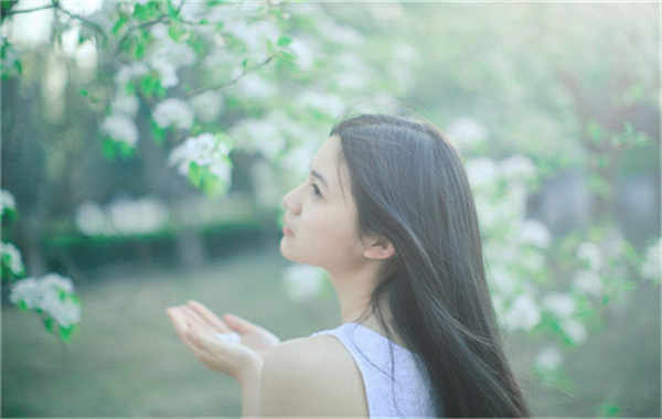 溆浦验血查男女几周可以验(验血查男女结果图)